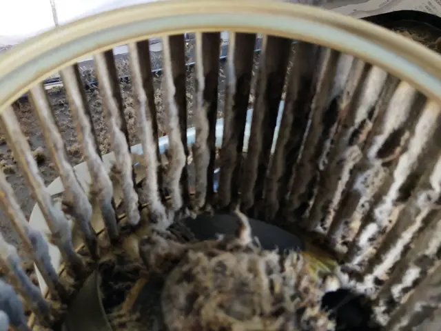 コロナ対策は万全です、養生サービス～スタートして＋5分のアフタークリーニング。サービスの画像