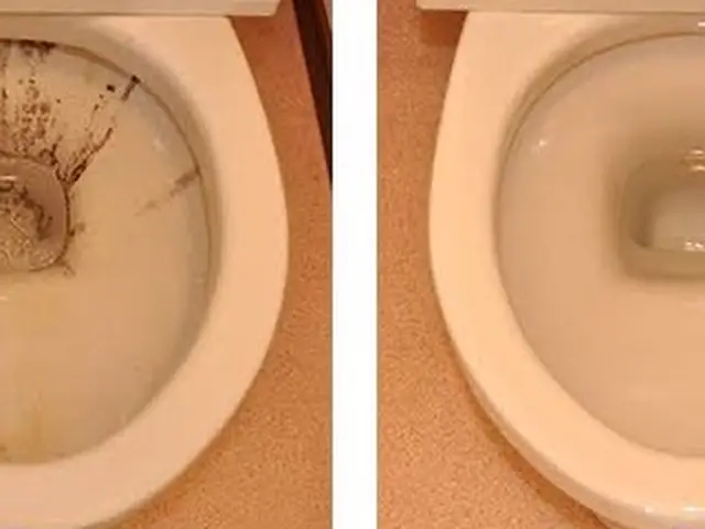 【期間限定割引】予約すぐにお取り致します。サービスの画像