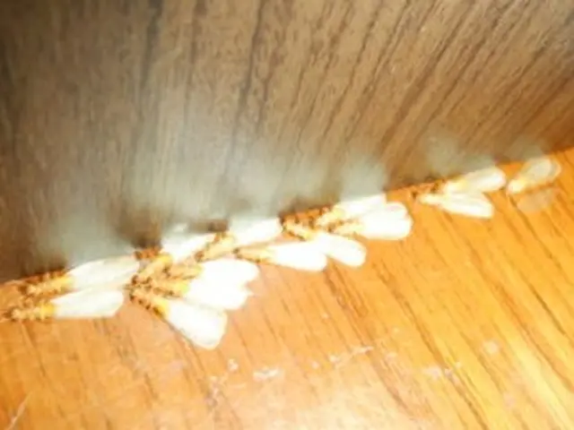 【女性スタッフ在籍】外注作業一歳なし！大手での業務経験あり◉サービスの画像