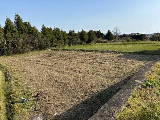 草丈いくらでも追加料金なし！耕作放棄地対応OK！サービスの画像