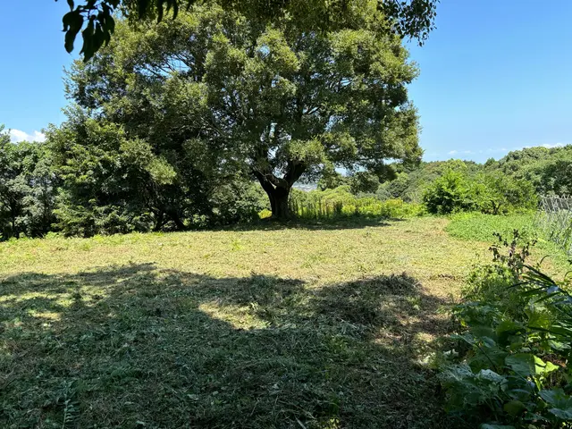 草丈いくらでも追加料金なし！耕作放棄地対応OK！サービスの画像