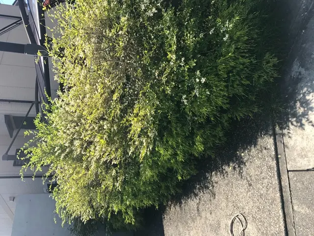 【業界18年！経験豊富なプロが伺います！】営業時間外の予約も相談可能です。サービスの画像