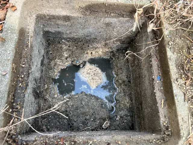 屋外排水管.マス洗浄、お部屋内の各排水口からの洗浄、トラップ清掃しませんか♪サービスの画像