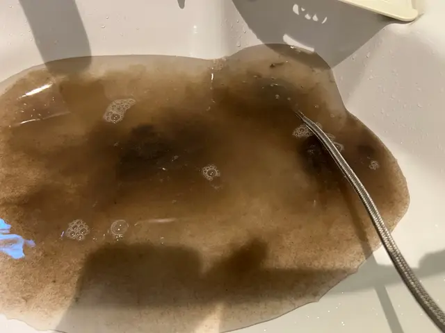 屋外排水管.マス洗浄、お部屋内の各排水口からの洗浄、トラップ清掃しませんか♪サービスの画像