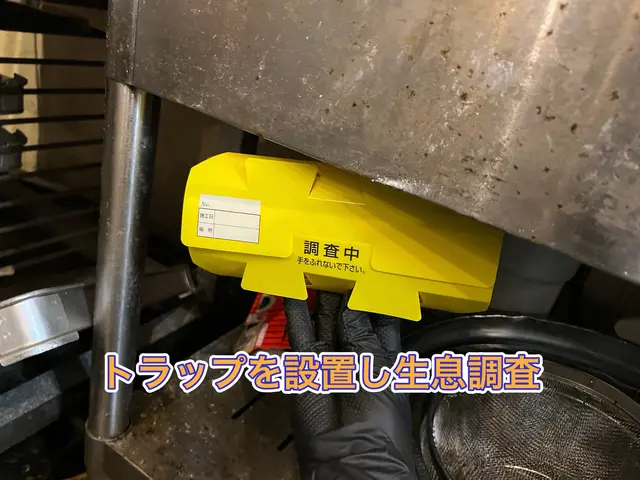 【担当案件数1万件以上】大手消毒会社に10年在籍／即日対応も可！サービスの画像