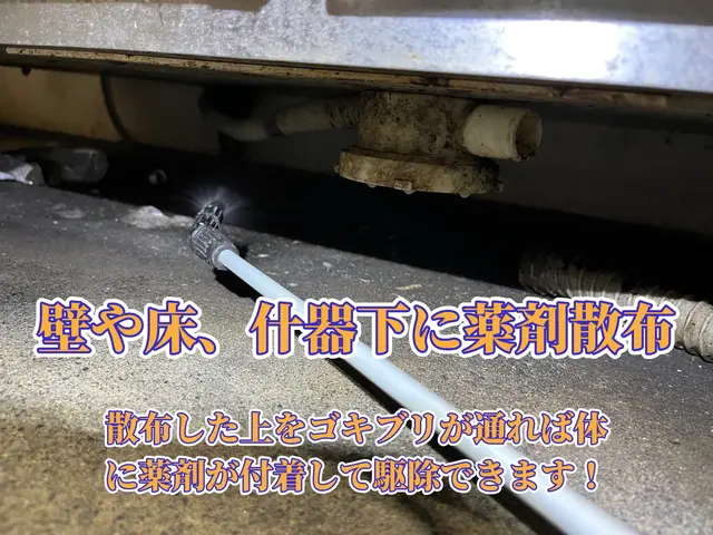 【担当案件数1万件以上】大手消毒会社に10年在籍／即日対応も可！サービスの画像