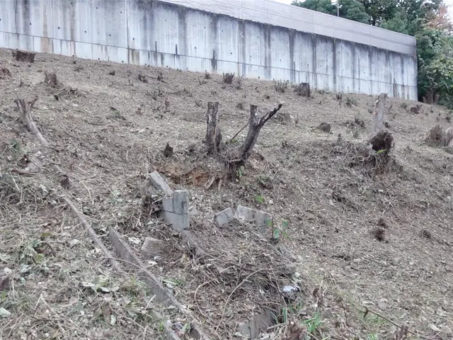 ◆春日井発◆営業時間外も対応いたします◆女性スタッフ同行可能サービスの画像