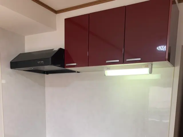 （期間限定限定）プロの技術で徹底洗浄！45,000円（税込）サービスの画像