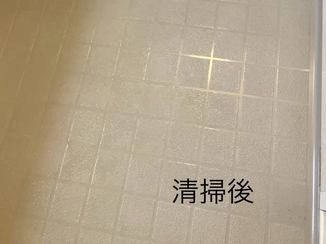 ※浴室クリーニング※      鏡の鱗取り機械研磨　エプロン内清掃　換気扇内清掃サービスの画像