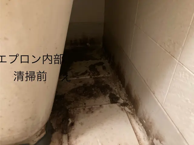 ※浴室クリーニング※      鏡の鱗取り機械研磨　エプロン内清掃　換気扇内清掃サービスの画像