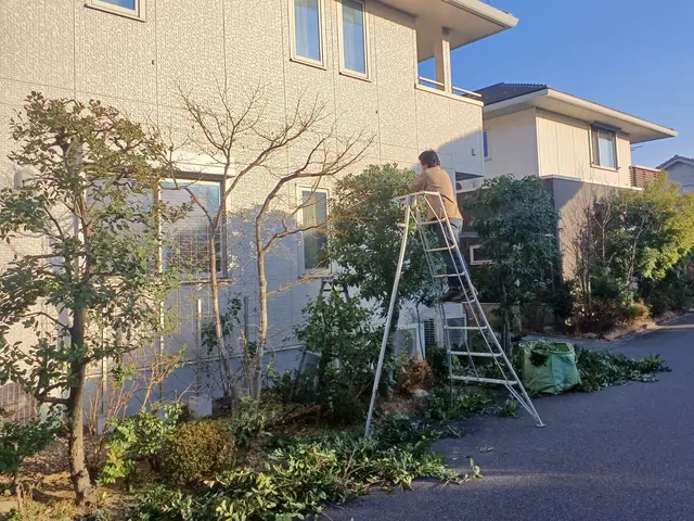 土日祝、対応可能　大手高級マンションで現場責任者10年以上経験。サービスの画像