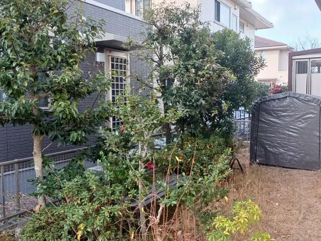 土日祝、対応可能　大手高級マンションで現場責任者10年以上経験。サービスの画像