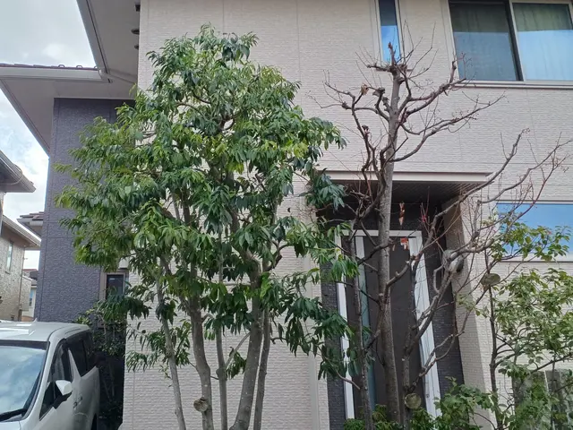 土日祝、対応可能　大手高級マンションで現場責任者10年以上経験。サービスの画像