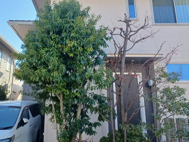 土日祝、対応可能　大手高級マンションで現場責任者10年以上経験。サービスの画像