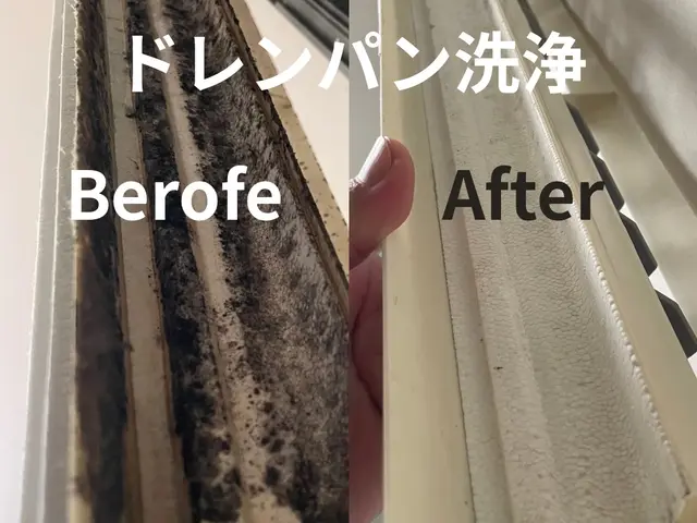 【秋の清潔な暮らし】花粉やアレルギー予防に！営業時間外もご相談ください！サービスの画像