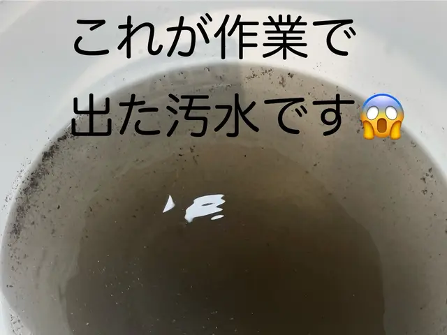【秋の清潔な暮らし】花粉やアレルギー予防に！営業時間外もご相談ください！サービスの画像