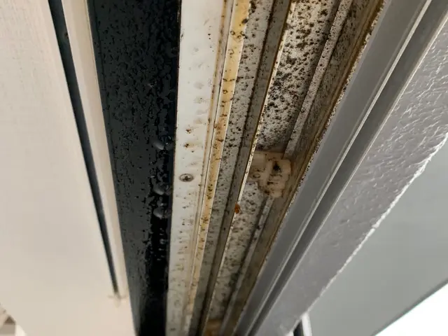 【窓ガラス】小窓6枚〜腰高窓は4枚〜掃き出し2枚からご予約可能です。サービスの画像