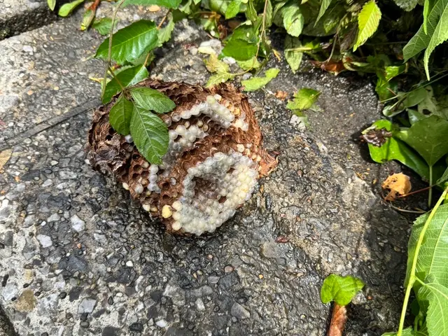 作業外注一切なし◎高い技術力でスピード解決！最短30分で対応します！サービスの画像