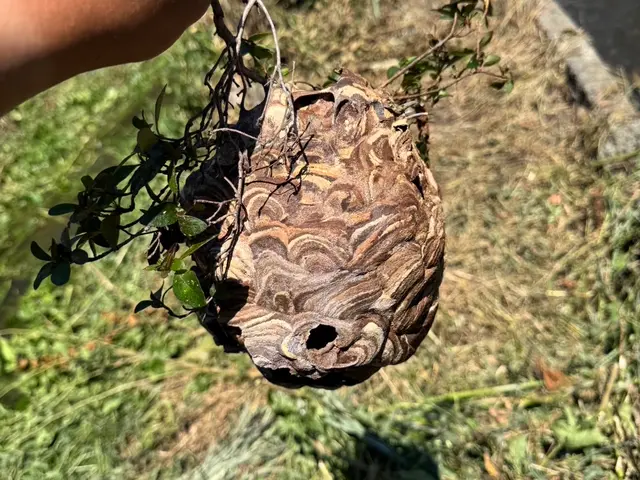 作業外注一切なし◎高い技術力でスピード解決！最短30分で対応します！サービスの画像