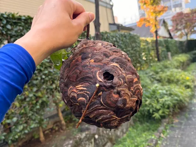 作業外注一切なし◎高い技術力でスピード解決！最短30分で対応します！サービスの画像