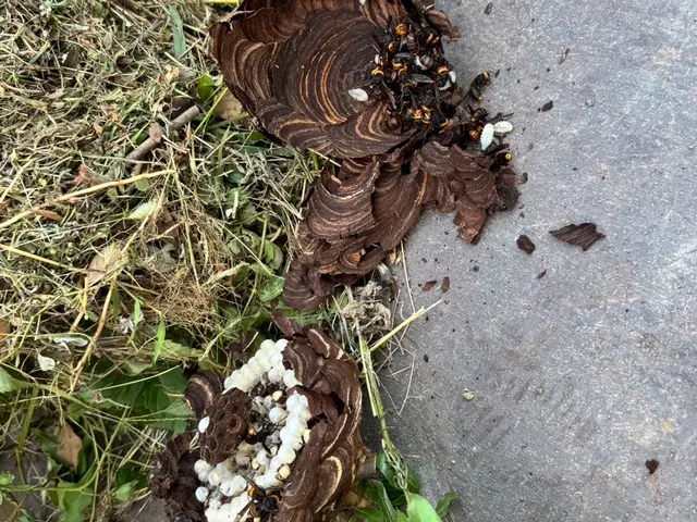 作業外注一切なし◎高い技術力でスピード解決！最短30分で対応します！サービスの画像