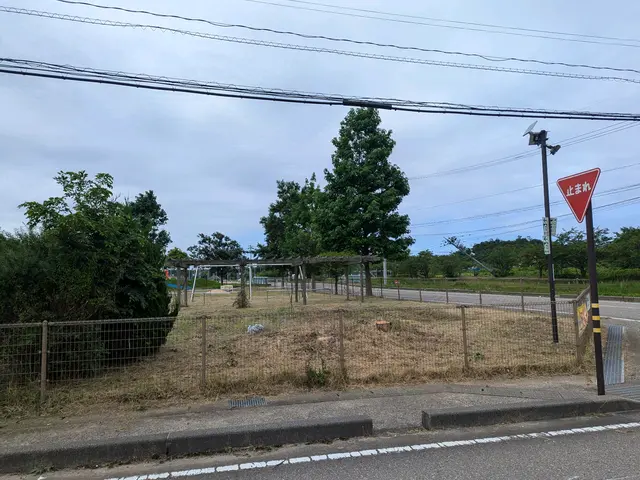 10年の実績★損害保険加入◎安全とクオリティにこだわった庭木の伐採サービスサービスの画像