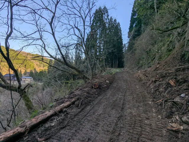 10年の実績★損害保険加入◎安全とクオリティにこだわった庭木の伐採サービスサービスの画像