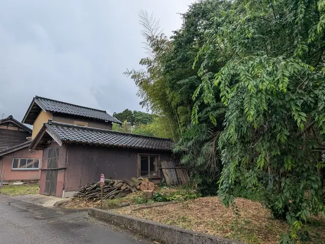 10年の実績★損害保険加入◎安全とクオリティにこだわった庭木の伐採サービスサービスの画像