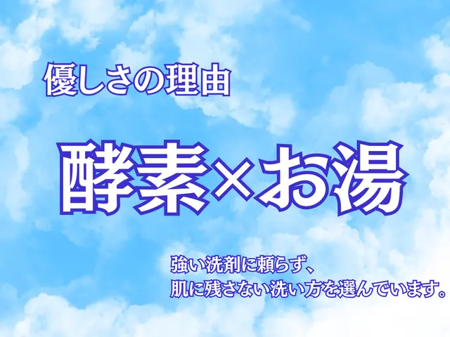 赤ちゃんへ贈る清潔。化学洗剤を捨てた私が、お湯と酵素で選んだ未来への物語！サービスの画像