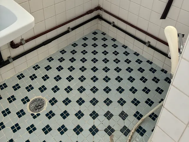 ◇汚れや素材に合わせ適材適所清掃◇あの頃の輝きを…☆彡【期間限定トイレ清掃無償】サービスの画像