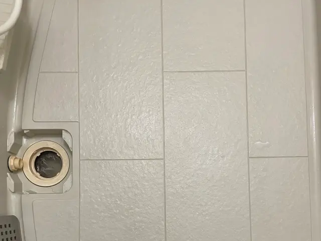 ◇汚れや素材に合わせ適材適所清掃◇あの頃の輝きを…☆彡【期間限定トイレ清掃無償】サービスの画像