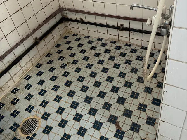 ◇汚れや素材に合わせ適材適所清掃◇あの頃の輝きを…☆彡【期間限定トイレ清掃無償】サービスの画像