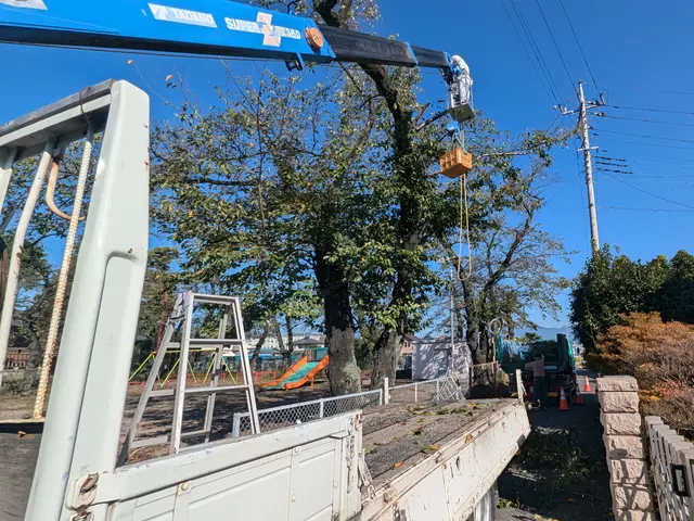 [[女性スタッフ同行可能]]1本からでもお受けします！！お見積り、ご相談無料！！サービスの画像