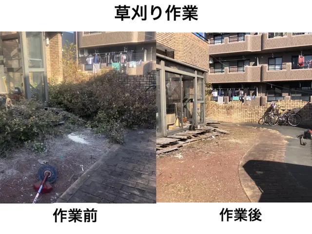 庭・空き地・畑の草刈り専門サービス（重機可）サービスの画像