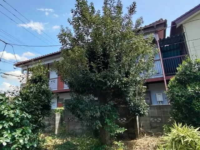 木の伐採。サービスの画像