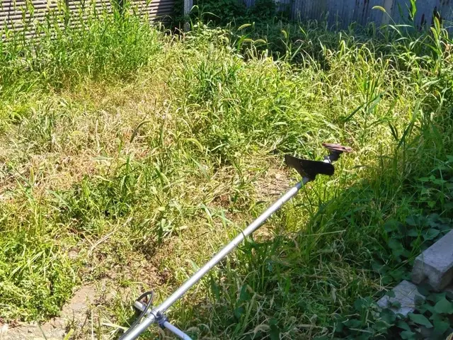 草刈り(草刈機)サービスの画像