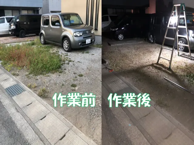 《女性スタッフも活躍中》安心の損害保険加入済み！当店スタッフが必ず伺います♪サービスの画像