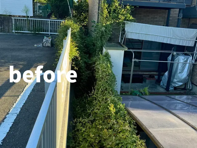 手作業で根っこから雑草除去でキレイなお庭に！除草剤散布◎サービスの画像