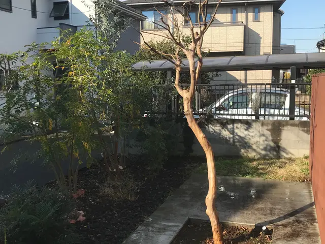 【庭木の剪定作業】お庭のことならお任せください！経験豊富なスタッフが伺いますサービスの画像