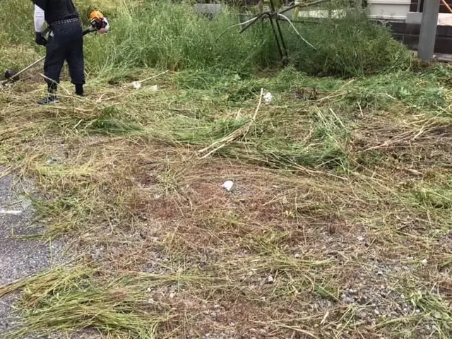 滋賀県長浜市〜 草刈りを請負ます。サービスの画像