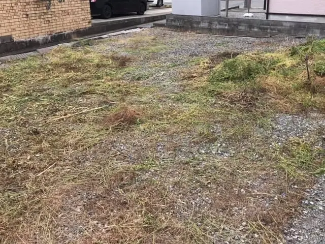 滋賀県長浜市〜 草刈りを請負ます。サービスの画像