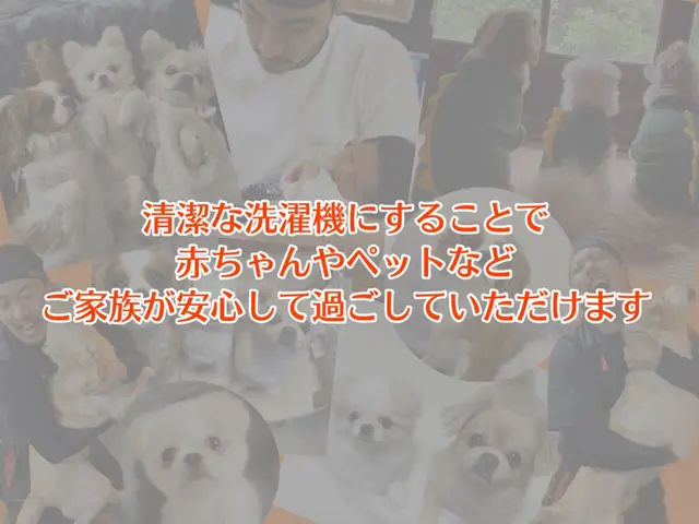 11/20枠有◎アワード入選店舗で初安心◎今だけ限定価格2.42万円！予約殺到中サービスの画像