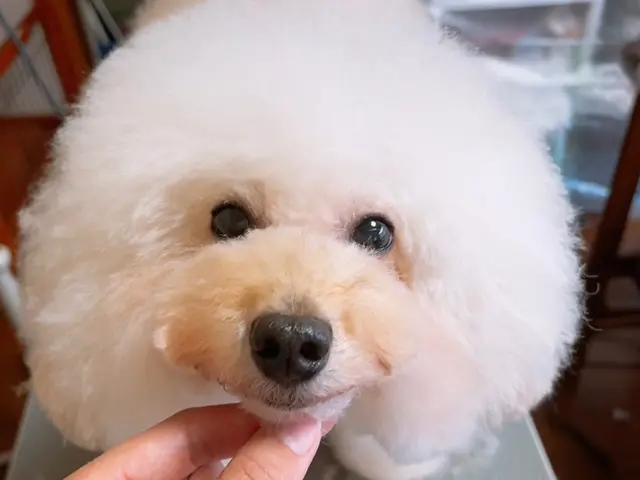 【親切・丁寧】店長の私が伺います。ぜひお気軽にご相談ください♪サービスの画像