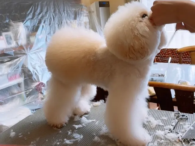 【親切・丁寧】店長の私が伺います。ぜひお気軽にご相談ください♪サービスの画像