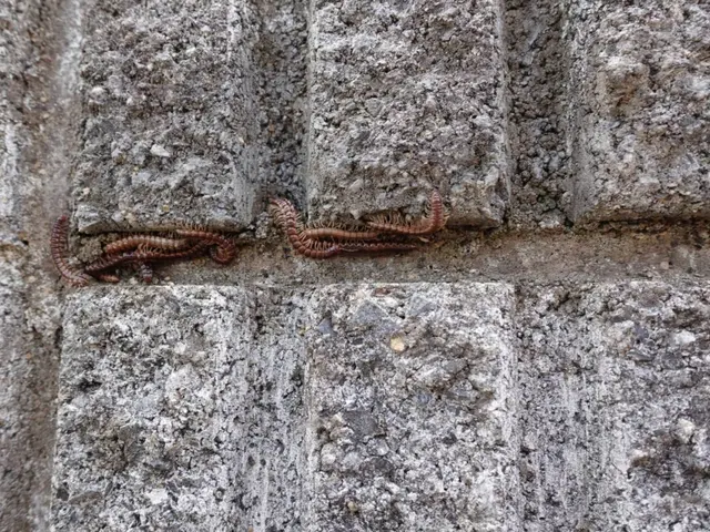 【大手業務経験あり】あなたの「困った」を当社スタッフが全力で解決します！サービスの画像