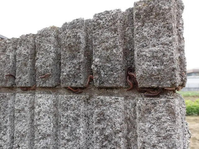 【大手業務経験あり】あなたの「困った」を当社スタッフが全力で解決します！サービスの画像