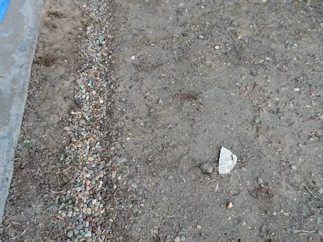 草むしりお任せ下さい！可能な限り根っこから引き抜きます！サービスの画像