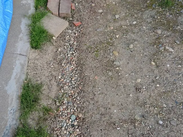 草むしりお任せ下さい！可能な限り根っこから引き抜きます！サービスの画像