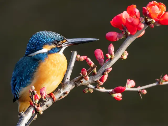 ≪売上に繋がる撮影≫店舗・料理写真撮影からメニュー表・ホームページ制作も対応！