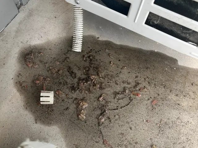 【即日対応】愛知　三重　岐阜すぐに駆けつけます！後払いも対応！水漏れ、ガス補充！サービスの画像